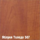 507 Яблоня толедо (1 кол)